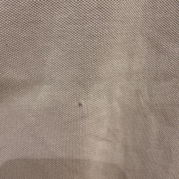 All Saints Mens Grey Polo Size SMALL - Picture 2 of 6